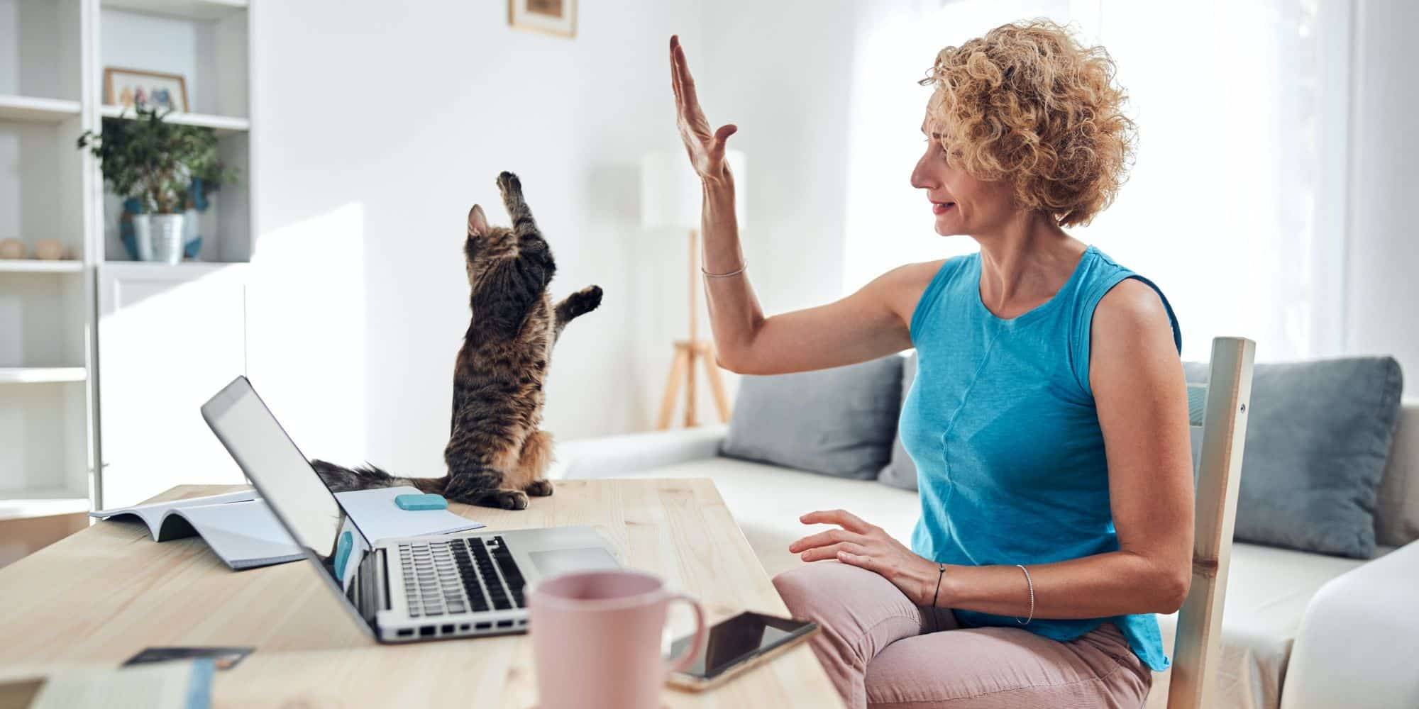 Kobieta siedząca przy stole przy laptopie przybija piątkę z kotem po zrealizowaniu przelewu natychmiastowego.