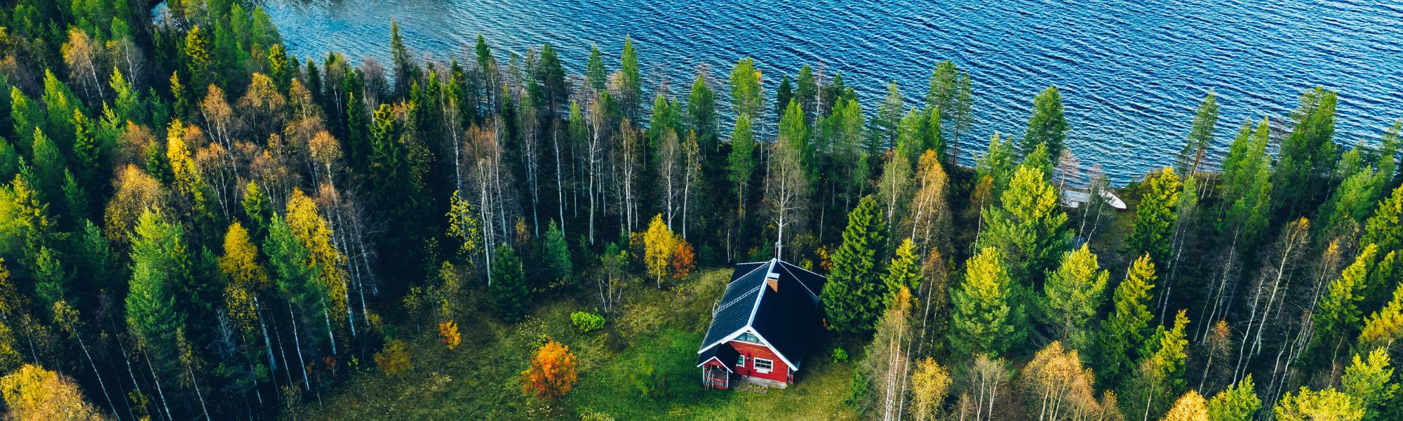 Sauna fińska położona w lesie nad jeziorem.